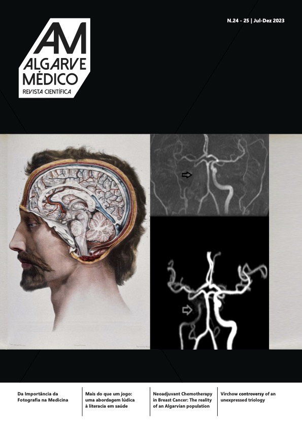 					Ver N.º 24-25 (2023): Jul-Dez
				